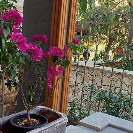 Un * קס